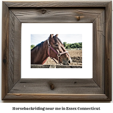 horseback riding near me in Essex, Connecticut